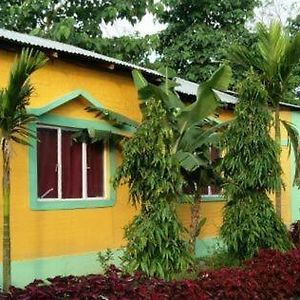 The Mystic Forest - A Tea Garden Resort At Dooars